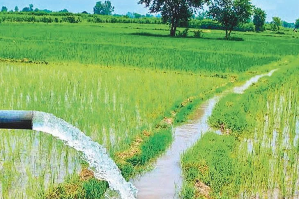 छत्तीसगढ़ में जलाशय परियोजना के लिए स्वीकृत बजट'