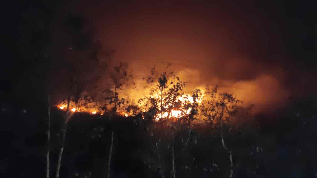 रायगढ़ की गजमार पहाड़ी में लगी आग की तस्वीर।