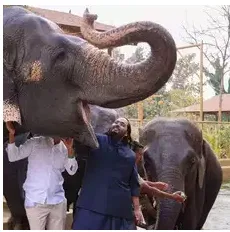 वनतारा की धीरेंद्र कृष्ण शास्त्री ने की प्रशंसा, अनंत अंबानी के प्रयास सराहनीय