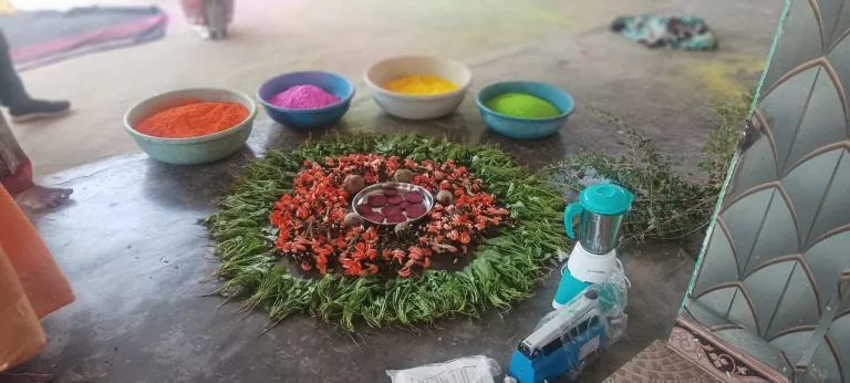 हर्बल गुलाल को बाजार में पहचान, स्वसहायता समूह की पहल