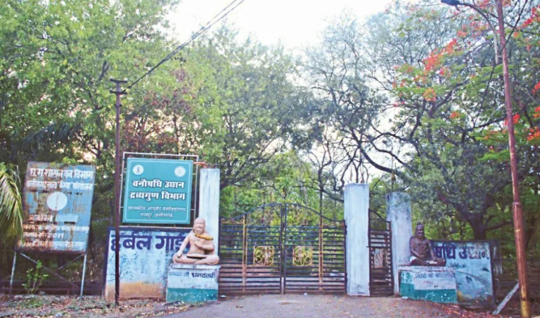 रायपुर का हर्बल गार्डन: जहां पेड़ों के नीचे बैठते ही मिलती मानसिक राहत