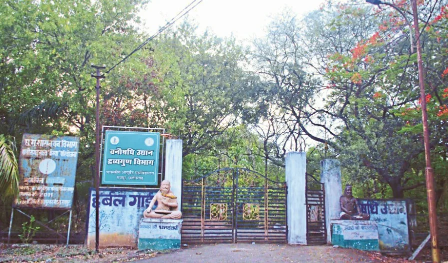 रायपुर के शासकीय आयुर्वेद कॉलेज में 9000 औषधीय पौधों वाला हर्बल गार्डन प्राकृतिक चिकित्सा और मानसिक सुकून का केंद्र बन गया है।