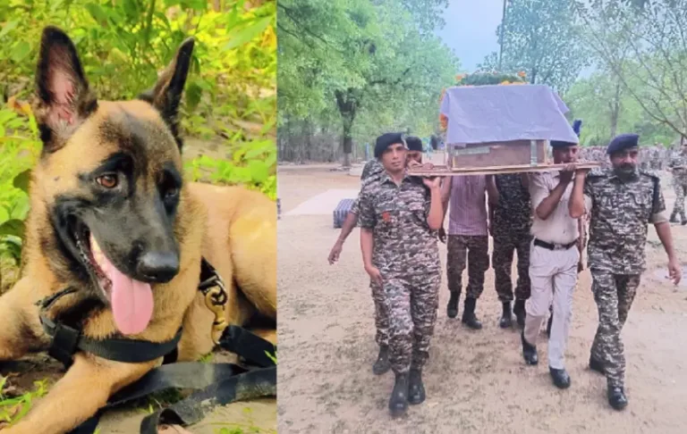 डॉग रोलो शहीद सम्मान: सच्चे सिपाही को मिला सैन्य विदाई सम्मान