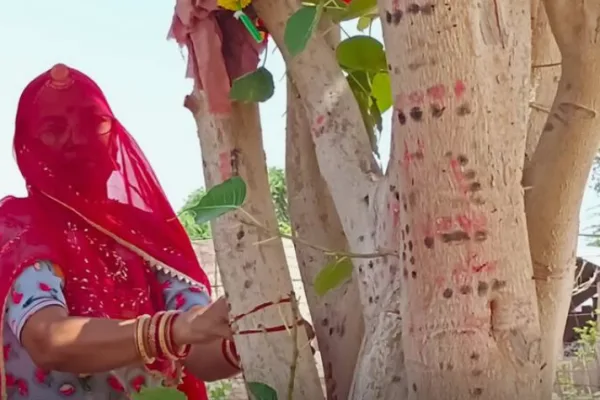 भारत में वृक्षों की शादी एक परंपरा है जिसमें पीपल और बरगद जैसे वृक्षों को पति-पत्नी मानकर विवाह कराया जाता है।