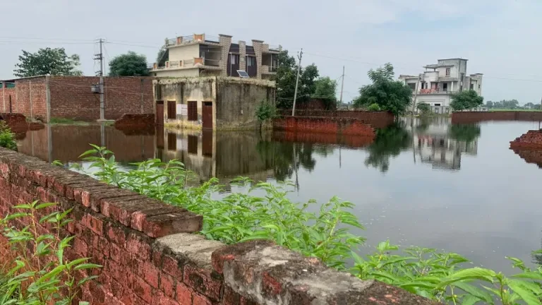 कोटली खेहरा की दास्तां: रावी बाढ़ से घर-खेत उजड़े,  महामारी का खतरा