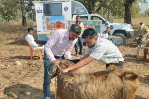 पशु चिकित्सा सेवा