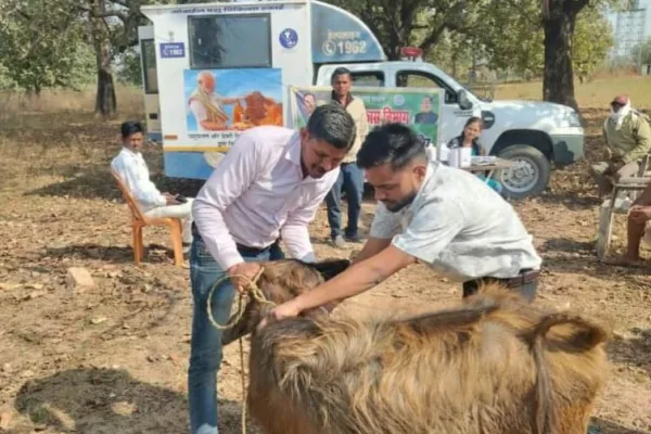 पशु चिकित्सा सेवा