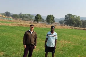 Wheat Farming