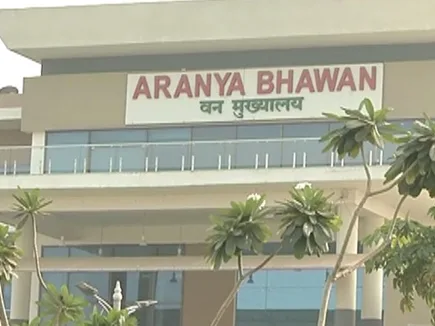 वन्यजीव अपराध