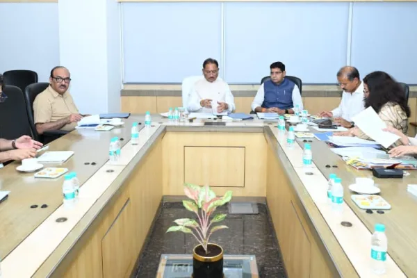 डिजिटल राजस्व सेवा