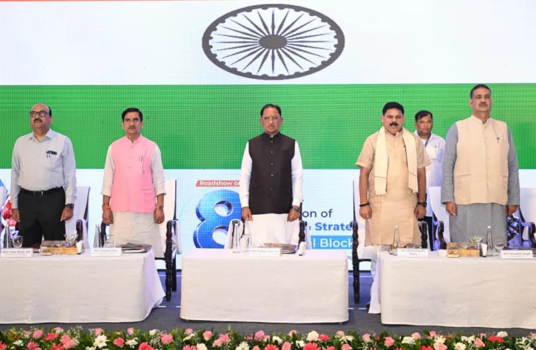खनिज नीलामी, मिनरल वैल्यू चेन, खनिज अन्वेषण,