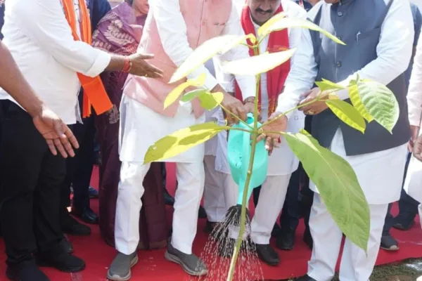 एक पेड़ माँ के नाम